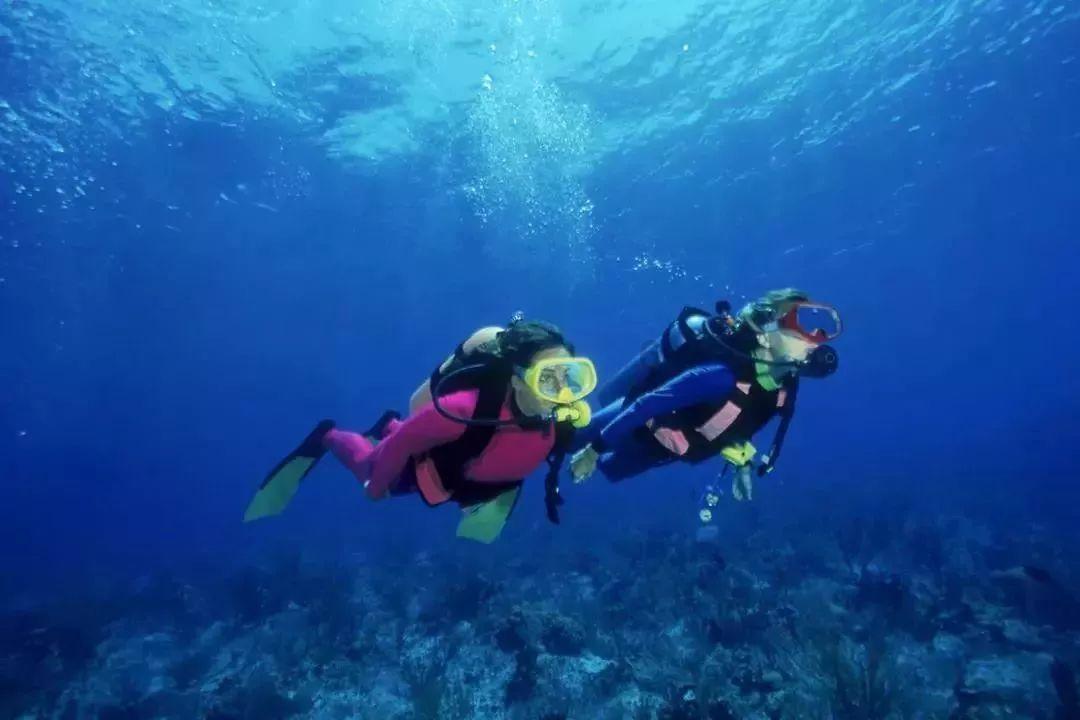 救援环境科学家